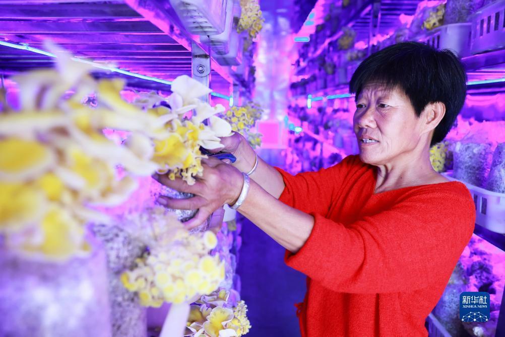 乐游游戏盒子